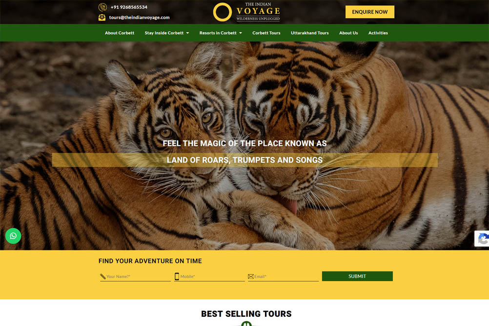 wordpress blog