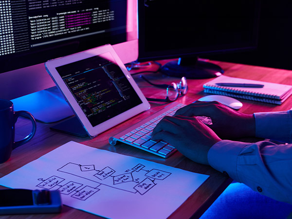 Web Design & Development